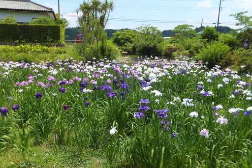 DSCF2612.JPG