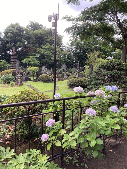 IMG_2098.jpeg