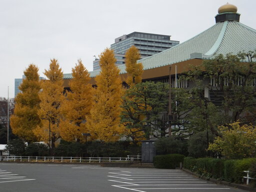 DSCF1323.JPG
