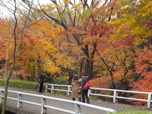 DSCF1325.JPG
