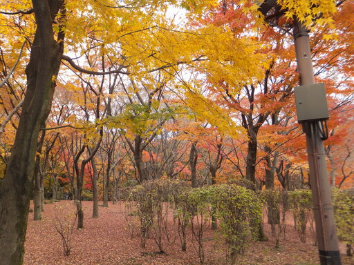 DSCF1327.JPG