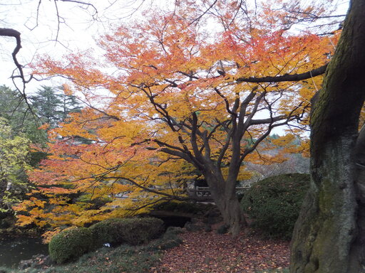 DSCF1331.JPG