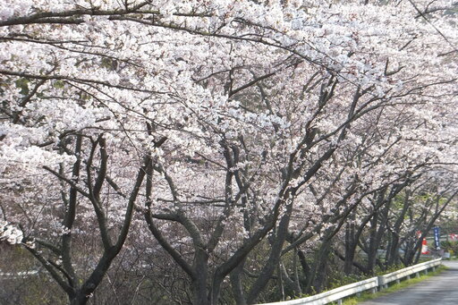 DSCF2927.JPG