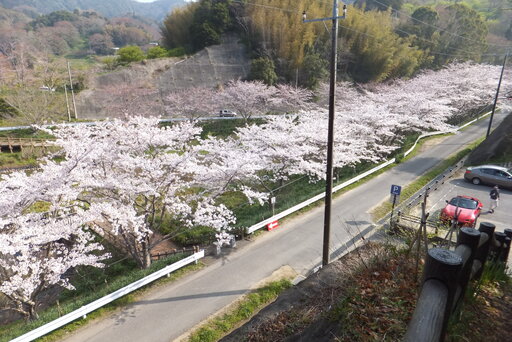 DSCF2929.JPG