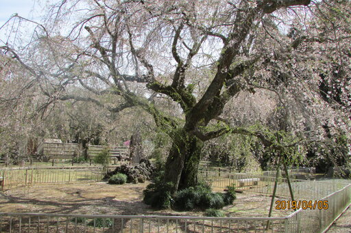 IMG_0231.jpg