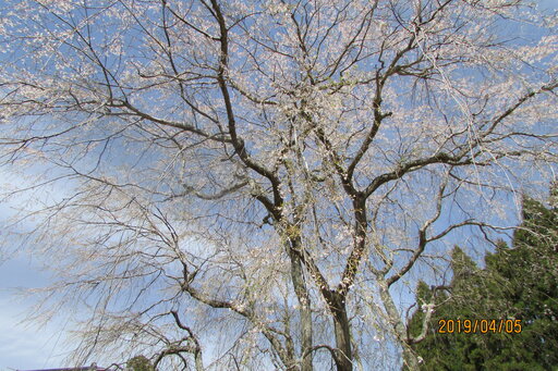 IMG_0235.jpg