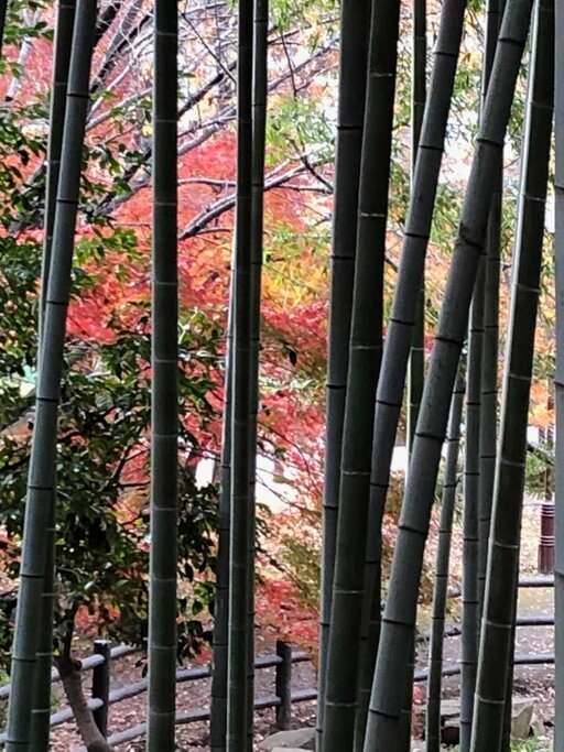 IMG_0899resize.jpg