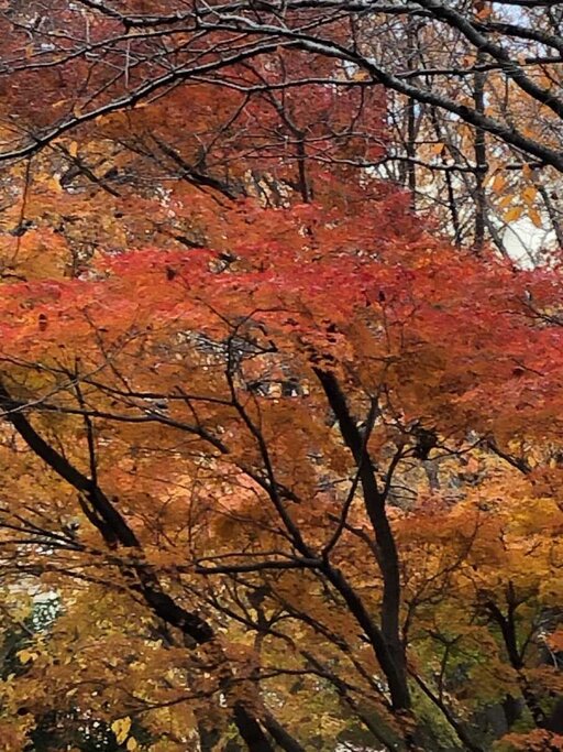 IMG_0900resize.jpg