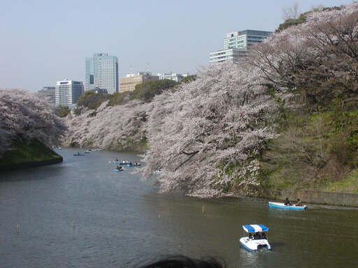 P4060097.JPG