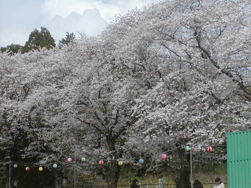 P4110284.jpeg
