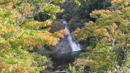 a49394705f4a92286814ce65eb365ef5.jpgのサムネイル画像