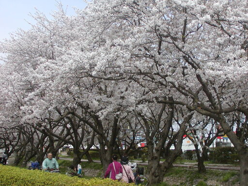 P4130116.JPG
