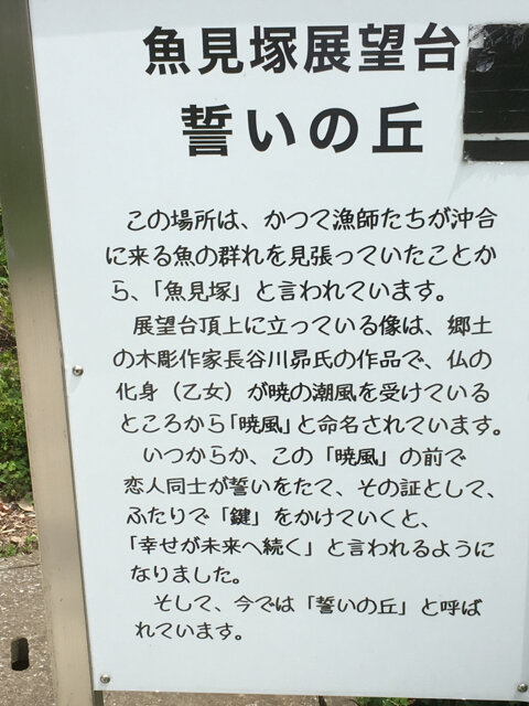 resized_03.jpg