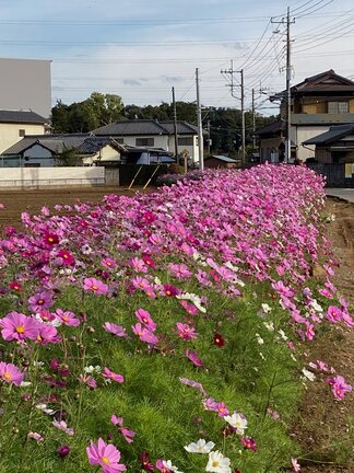 IMG_4007.jpeg