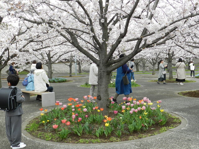 DSCN1322.JPG