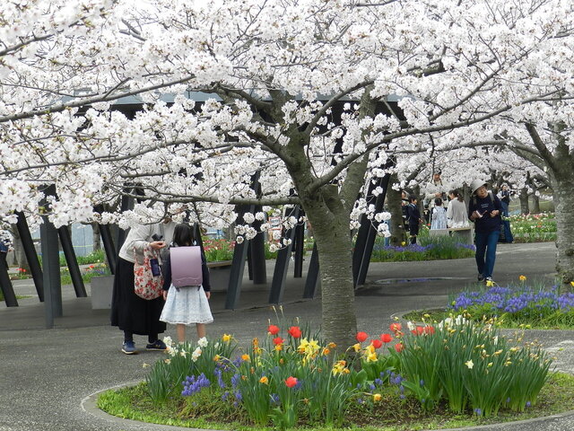 DSCN1328.JPG