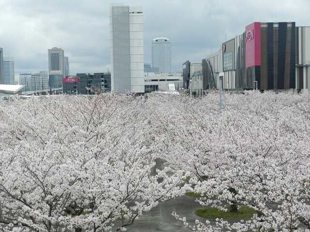 DSCN1337.JPG