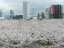 DSCN1337.JPG