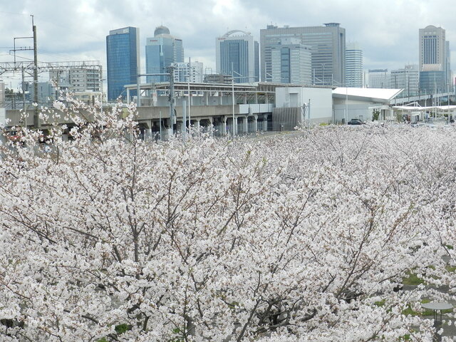 DSCN1340.JPG