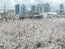 DSCN1340.JPG