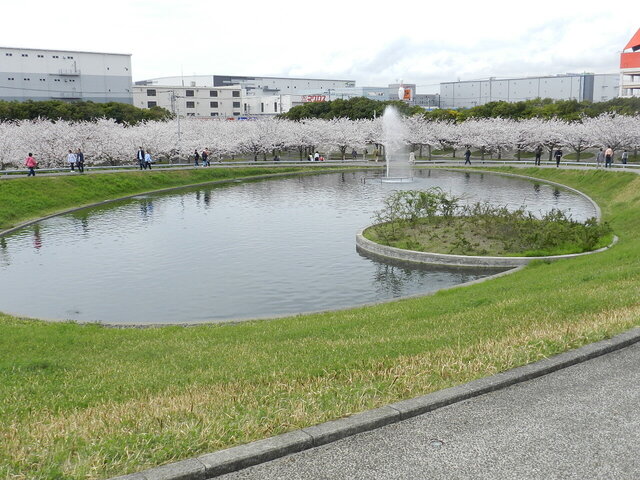 DSCN1342.JPG