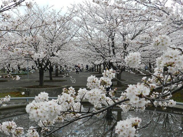 DSCN1348.JPG