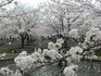 DSCN1348.JPG