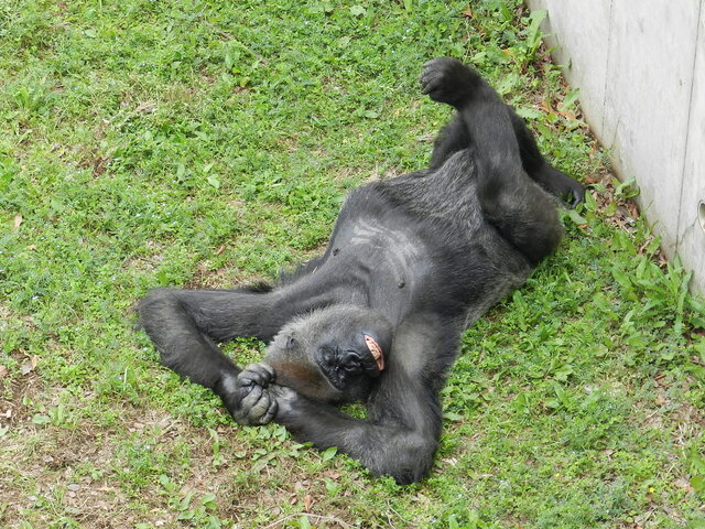 DSCN1356.JPG