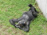 DSCN1356.JPG