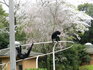 DSCN1361.JPG