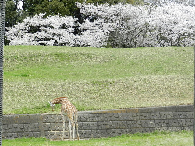 DSCN1369.JPG