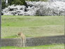 DSCN1369.JPG